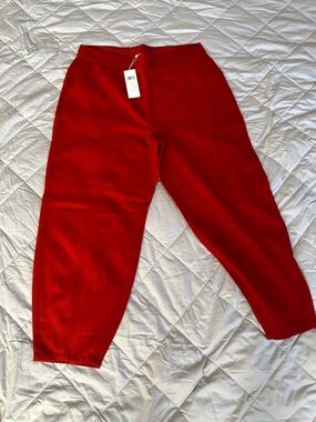 Eileen Fisher Women’s Red Lightweight Wool Pants